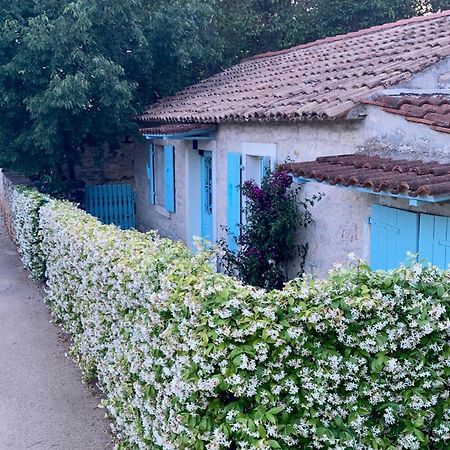Vila Majda Tar-Vabriga Екстериор снимка